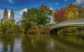 20 Interesting NYC Central Park Facts For Kids - Little Day Out