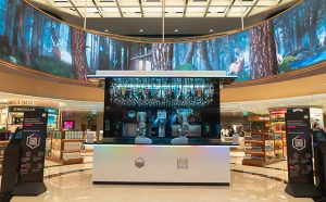 Changi Airport Terminal 2: Food, Shops & Attractions [Updated 2024 ...