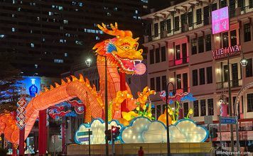 Chinatown Chinese New Year Light Up & Celebrations 2024: What To See ...