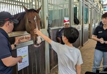 Christmas At The Stables: A Meaningful Yuletide With Horses