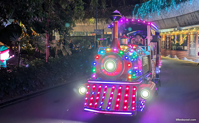 CDG Zig Express Christmas Train