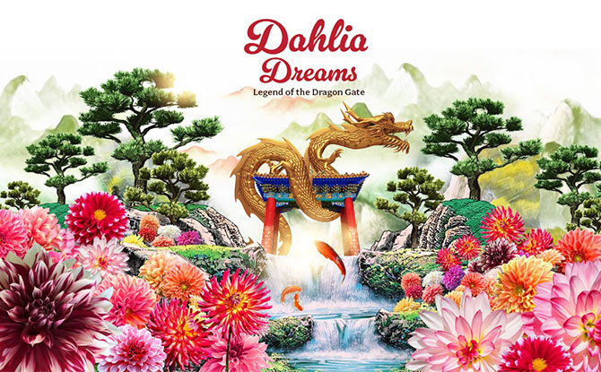 Dahlia Dreams 2024: Legend of the Dragon Gate