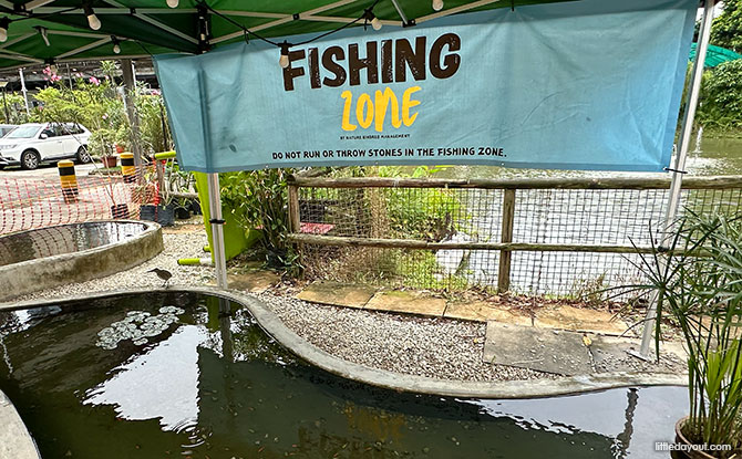 Kid Fishing Zone