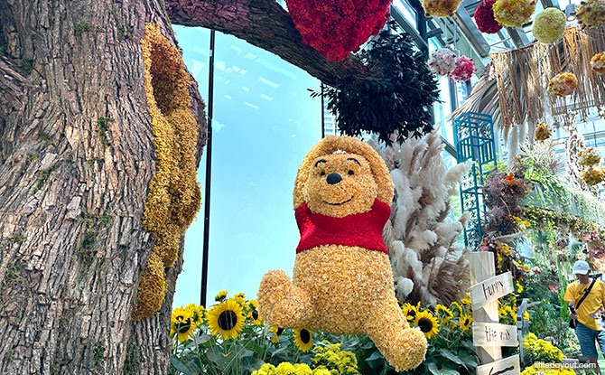 Winnie the Pooh