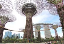 OCBC Skyway, Gardens by the Bay