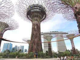 OCBC Skyway, Gardens by the Bay