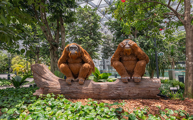 Topiary Walk Orang Utan