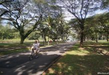 East Coast Park: 10+ Things To Do – From Watersports To What To Eat
