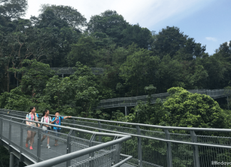 Alexandra Arch & Forest Walk