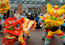 Lion dance performers