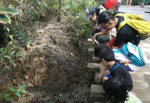 No Wildlife in Singapore? Wildlife Volunteer Groups In Singapore Will Prove You Dead Wrong!