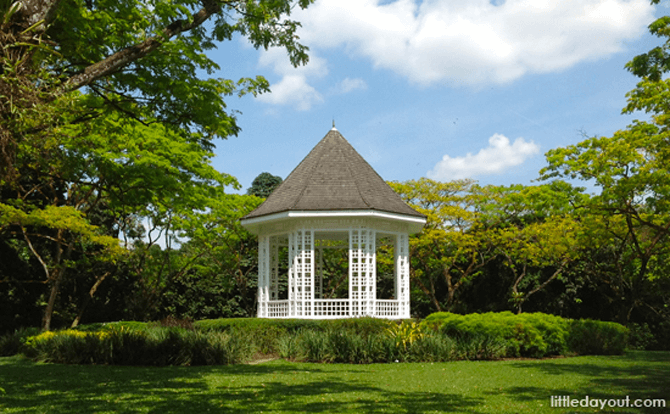 Quick Guide To Singapore Botanic Gardens: Useful Things To Know For