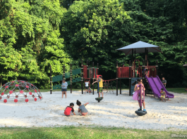 Bukit Batok Nature Park Playground