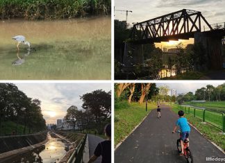 Ulu Pandan Park Connector: Scenic Route Along The Sungei Pandan Canal