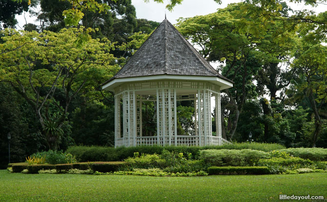 Singapore Botanic Gardens: 15 Favourite Nature Spots - Little Day Out