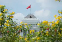 Istana Open House