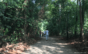 Zhenghua Nature Park: At The Edge Of Nature - Little Day Out