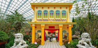 Precious Peony At Flower Dome, Gardens By The Bay: Heritage Artefacts Alongside Flowers