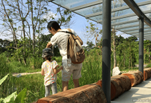 Kranji Marshes: A Different Type Of Playground