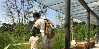 Kranji Marshes: A Different Type Of Playground