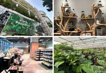 Far East Flora HQ At Clementi Road: Plant Paradise