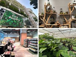 Far East Flora HQ At Clementi Road: Plant Paradise