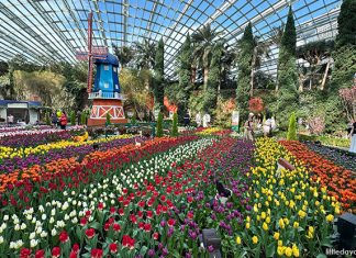 Gardens by the Bay Flower Dome: 9 Gardens That'll Take You Around the World