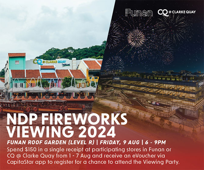 NDP Fireworks