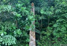 Little Stories: The Obelisk At Labrador Park