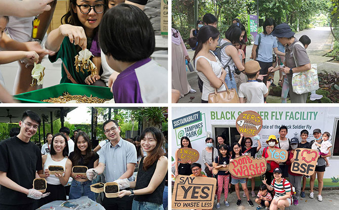 Go Green SG 2024: 11 Activities, Tours & Programmes That Promote A More Sustainable Singapore
