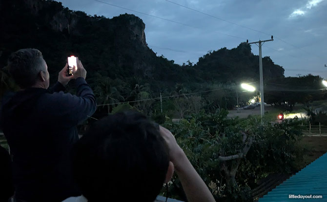 Bat-watching at NaYang Caves