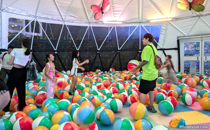 Cavalia Ball Pit