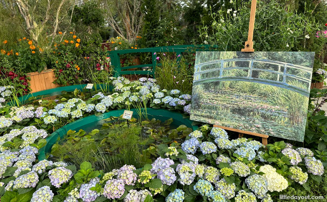 Water Lilies at Impressions of Monet