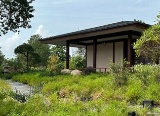 Japanese Garden: Where Tranquility Awaits With Water Lilies, Sunken Garden At Jurong Lake Gardens