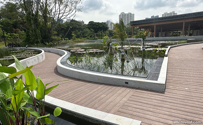 Boardwalks at the Water Lily Garden