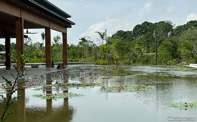 Water Lily Pavilion