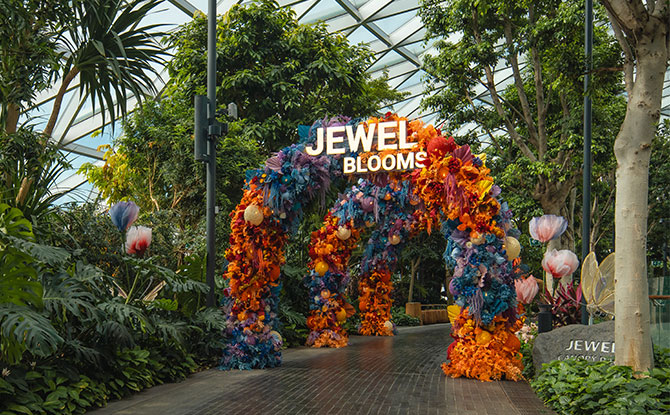 Jewel Blooms 2024: What A Feelin5 at Canopy Park, Jewel Changi Airport