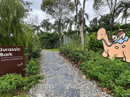 Jurassic Bark: Changi Airport Dog Run & Butterfly Trail