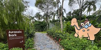 Jurassic Bark: Changi Airport Dog Run & Butterfly Trail