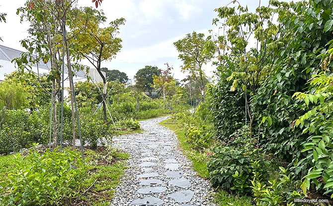 Butterfly Trail