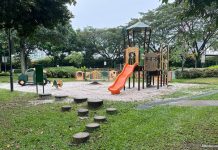 Jurong Central Park: Playground Games