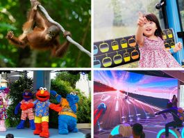 10+ Singapore Attractions Where Young Kids Enter Free