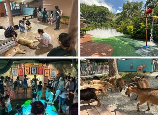 Kidzworld: Singapore Zoo's New Children's Play Area With Petting Zoo & Home Of The Ranger Buddies