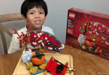 LEGO 80117 Good Fortune Review