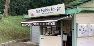 Kayaks And Paddles At MacRitchie Reservoir