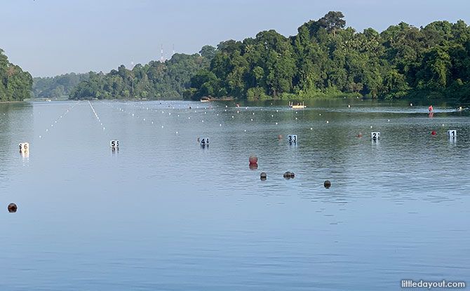 Kayaking at MacRitchie Reservoir