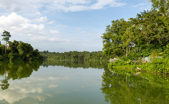 Mandai Boardwalk at Mandai Wildlife Reserve