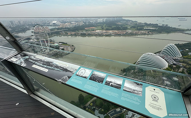 Marina Bay Sands SkyPark Observation Deck View