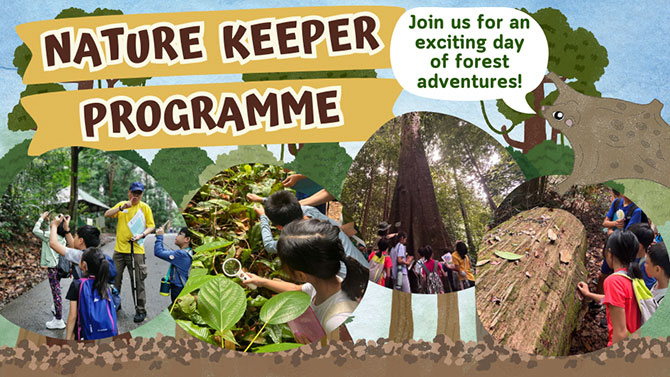 NParks’ Nature Keeper Camp