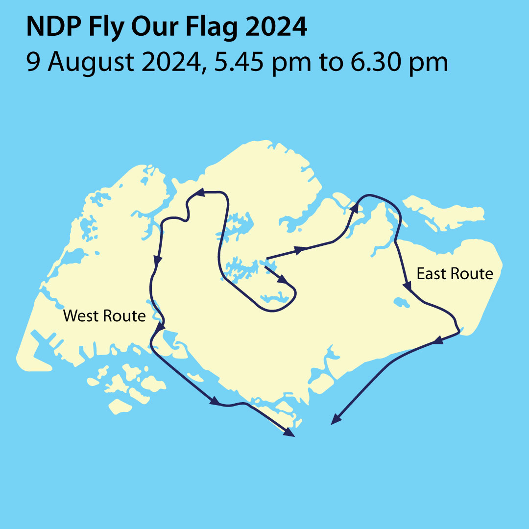 NDP Fly Our Flag 2024